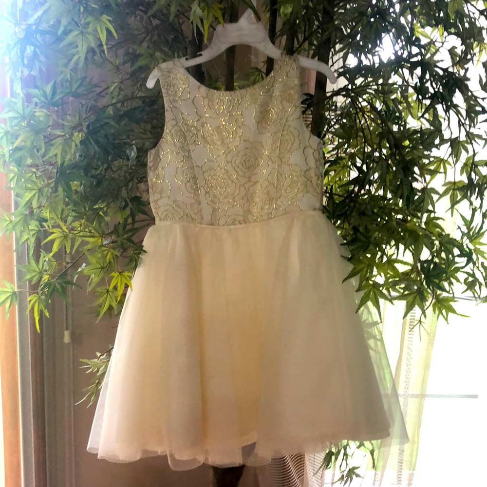 Girls party dress for special events.
